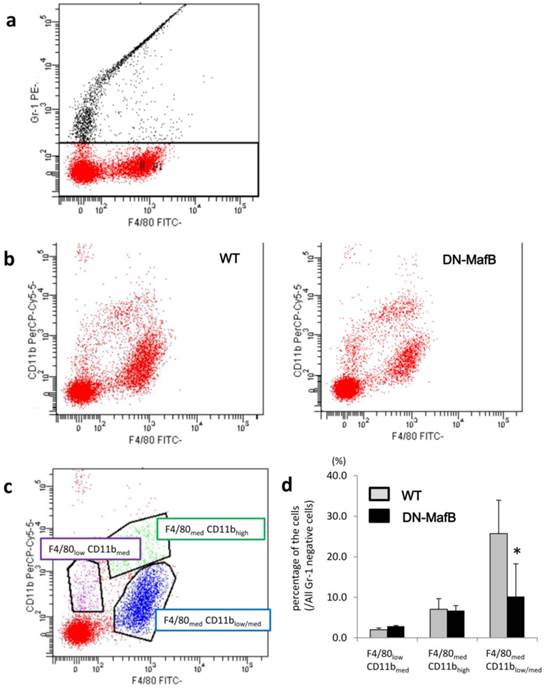 Int J Biol Sci Image