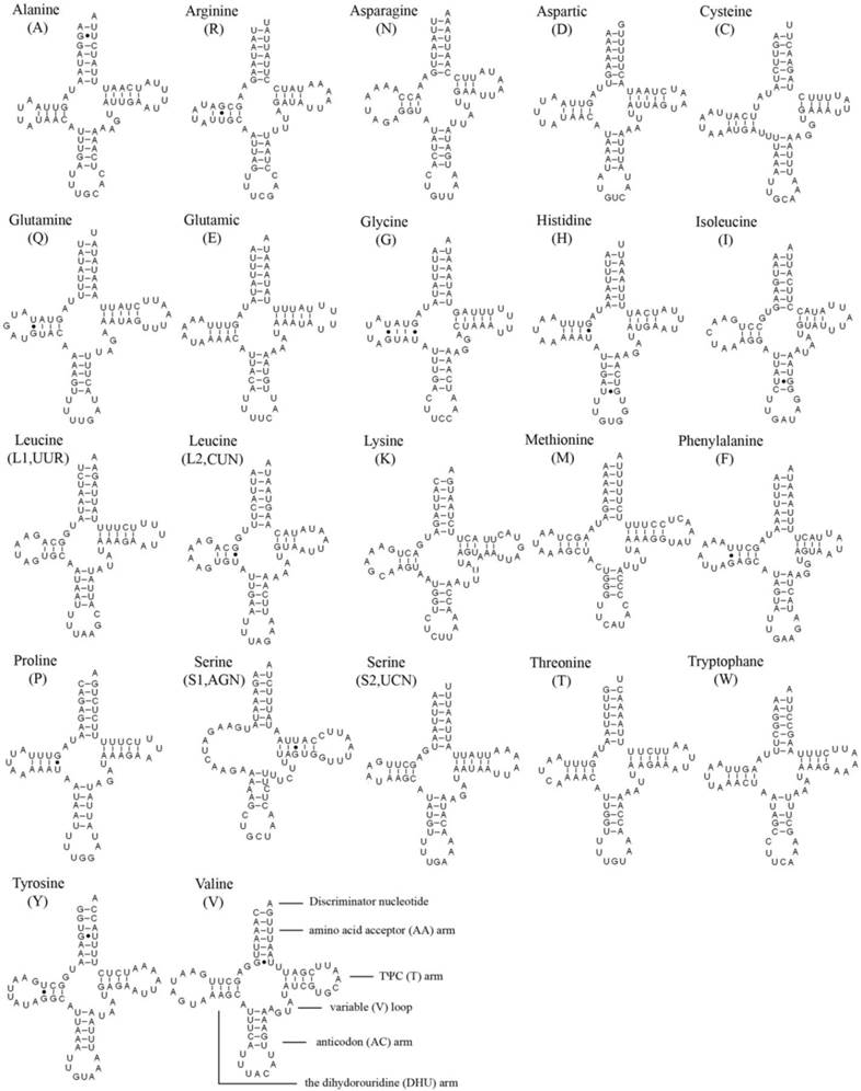 Int J Biol Sci Image