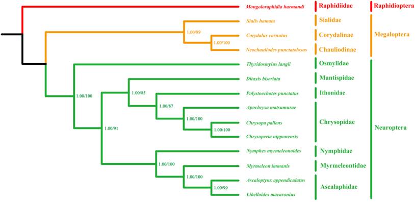 Int J Biol Sci Image