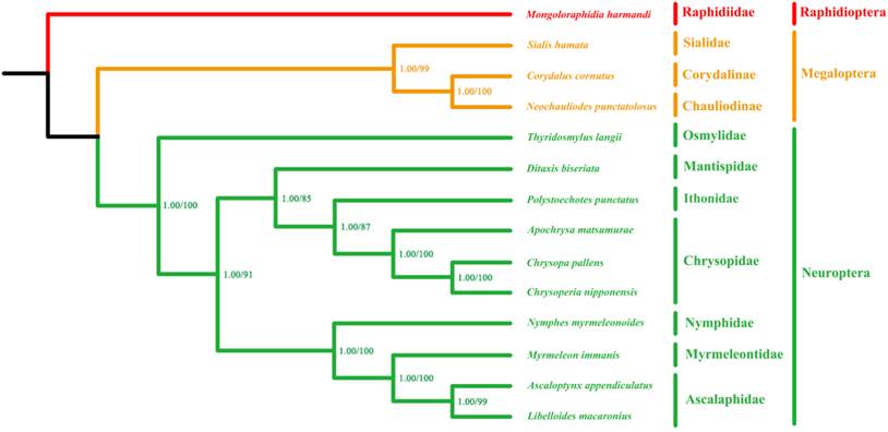 Int J Biol Sci Image