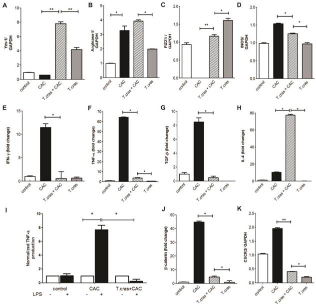 Int J Biol Sci Image