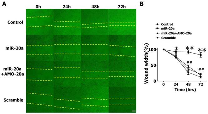 Int J Biol Sci Image