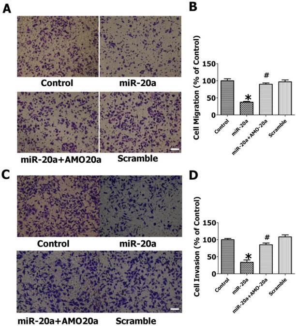 Int J Biol Sci Image