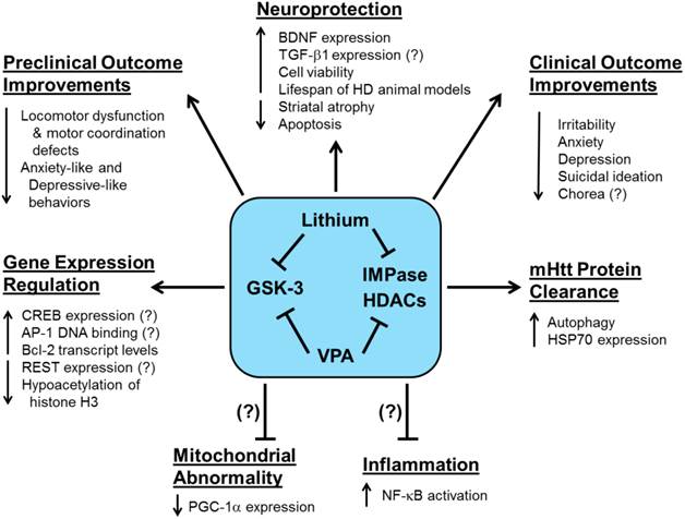 Int J Biol Sci Image