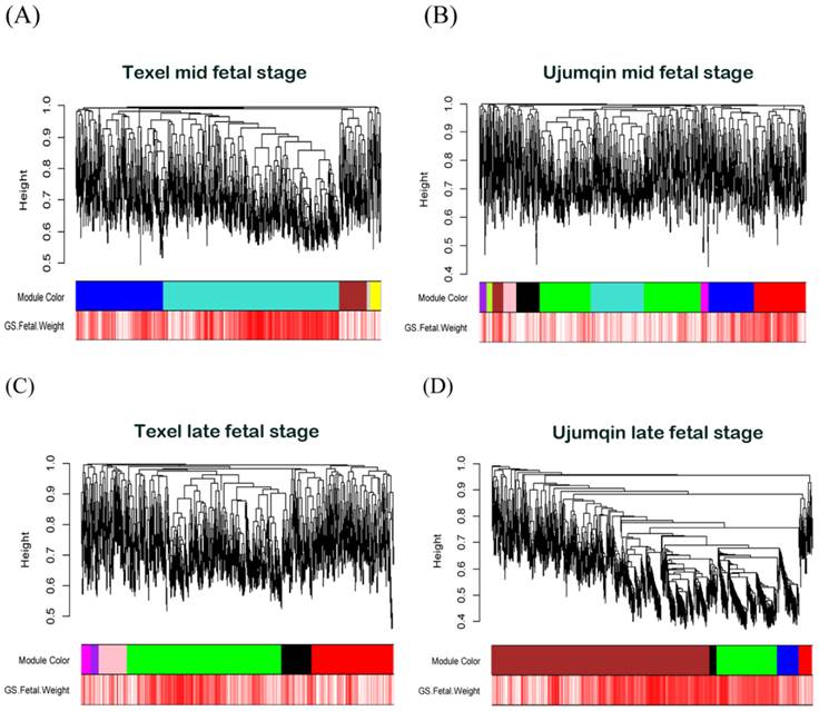 Int J Biol Sci Image