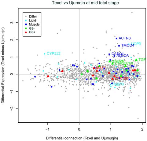 Int J Biol Sci Image