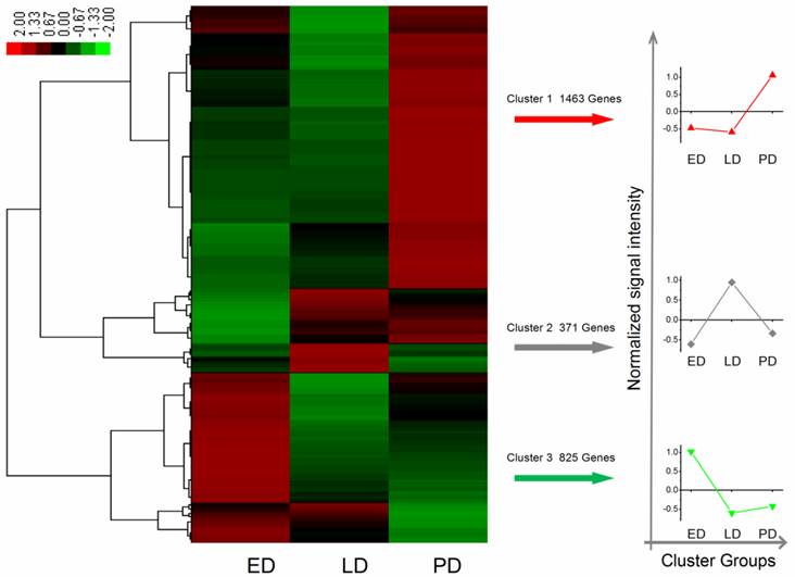 Int J Biol Sci Image