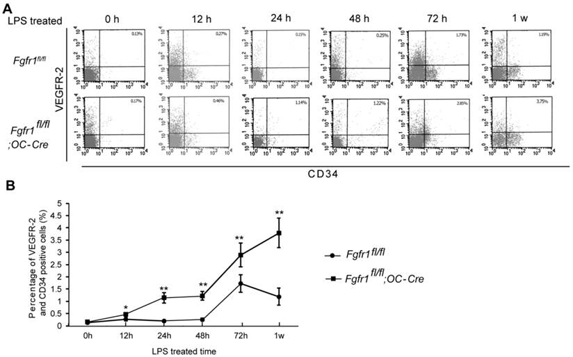 Int J Biol Sci Image