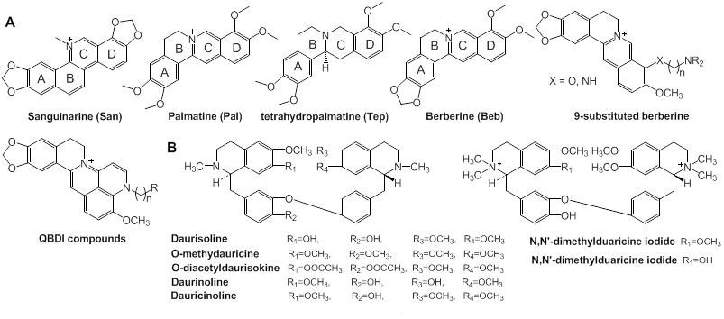 Int J Biol Sci Image