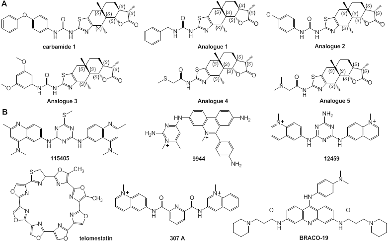 Int J Biol Sci Image