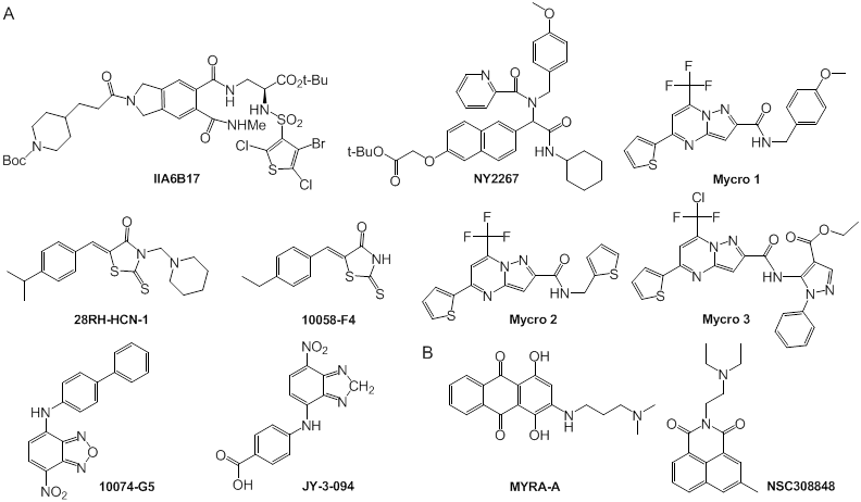 Int J Biol Sci Image