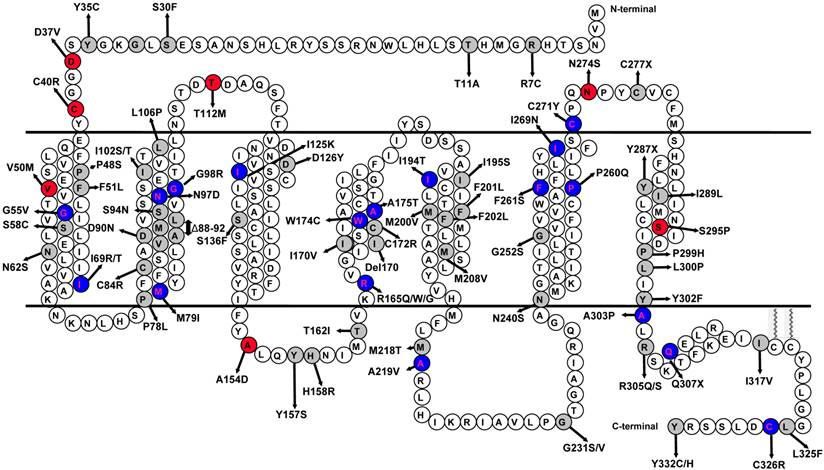 Int J Biol Sci Image