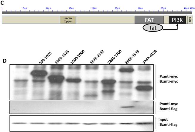 Int J Biol Sci Image