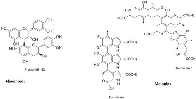 Int J Biol Sci Image