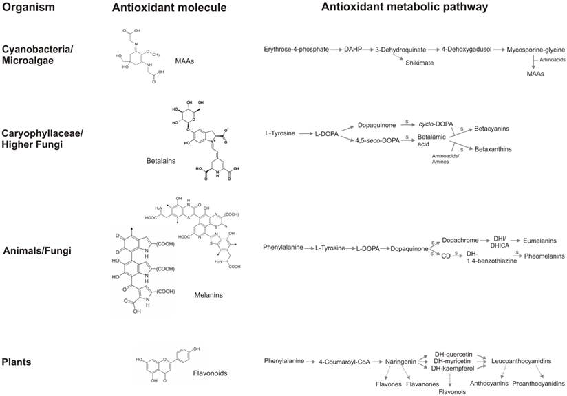 Int J Biol Sci Image