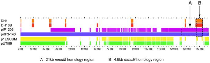 Int J Biol Sci Image