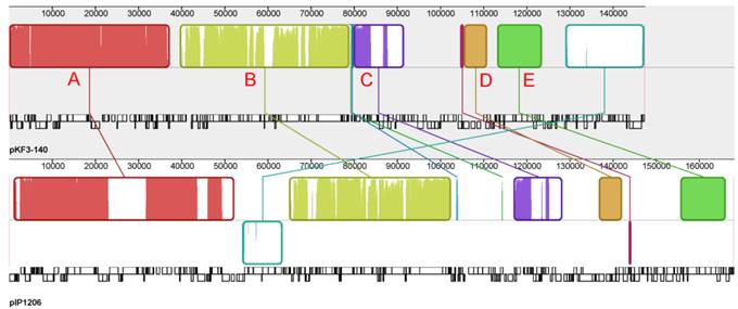 Int J Biol Sci Image