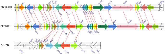 Int J Biol Sci Image