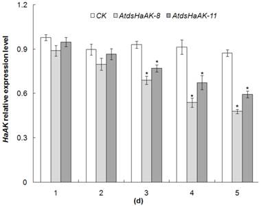 Int J Biol Sci Image