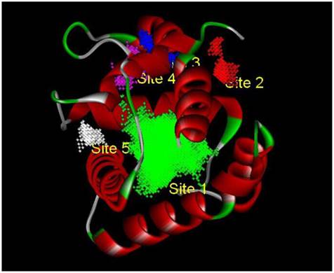 Int J Biol Sci Image