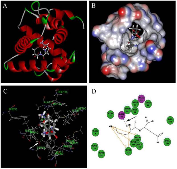 Int J Biol Sci Image