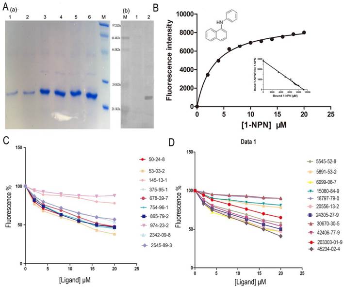 Int J Biol Sci Image