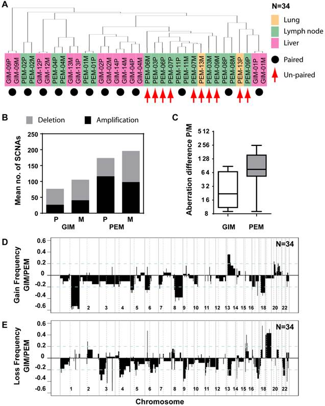 Int J Biol Sci Image