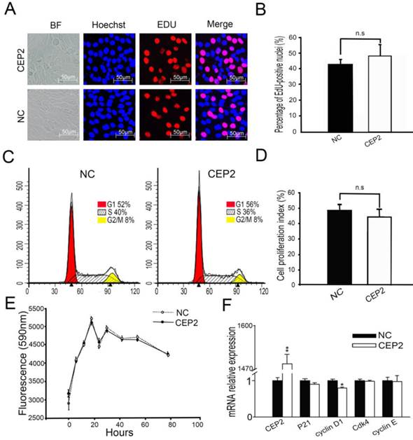 Int J Biol Sci Image