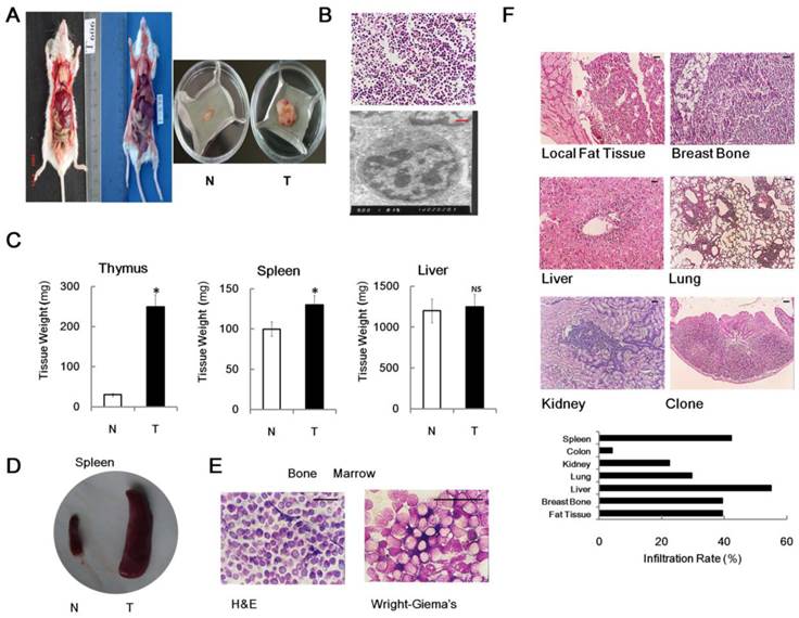 Int J Biol Sci Image