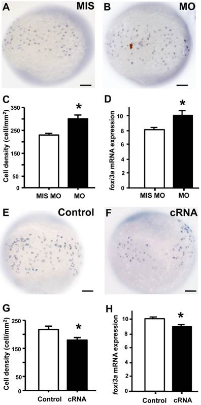 Int J Biol Sci Image