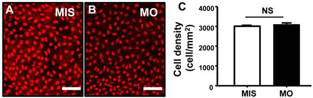 Int J Biol Sci Image