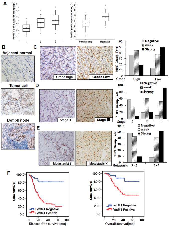 Int J Biol Sci Image