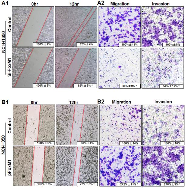 Int J Biol Sci Image