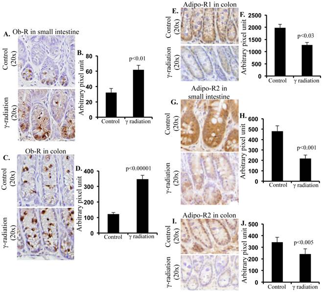 Int J Biol Sci Image