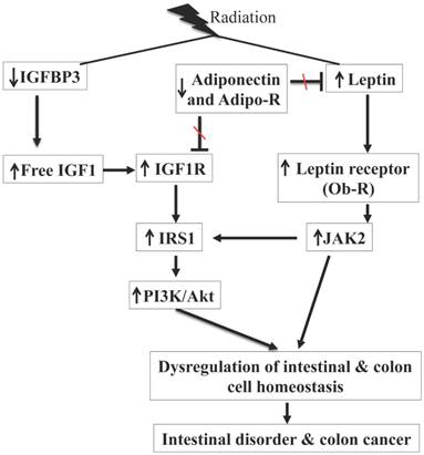 Int J Biol Sci Image