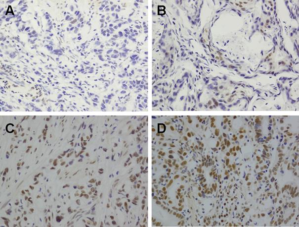 Int J Biol Sci Image