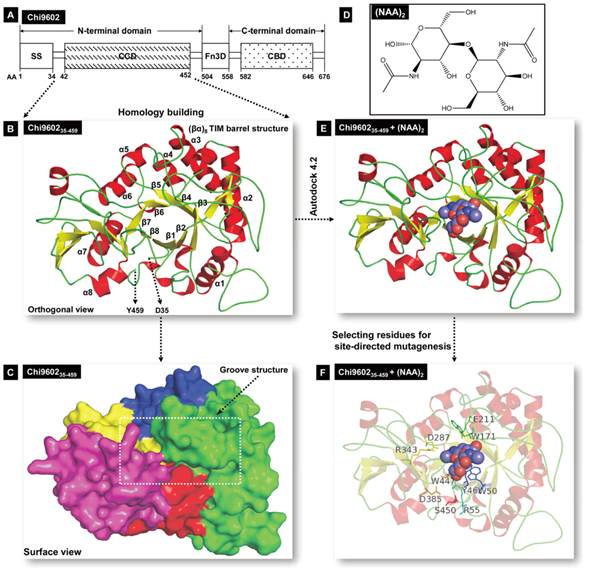 Int J Biol Sci Image