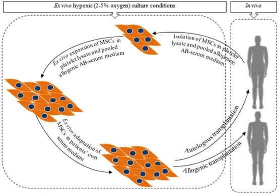 Int J Biol Sci Image