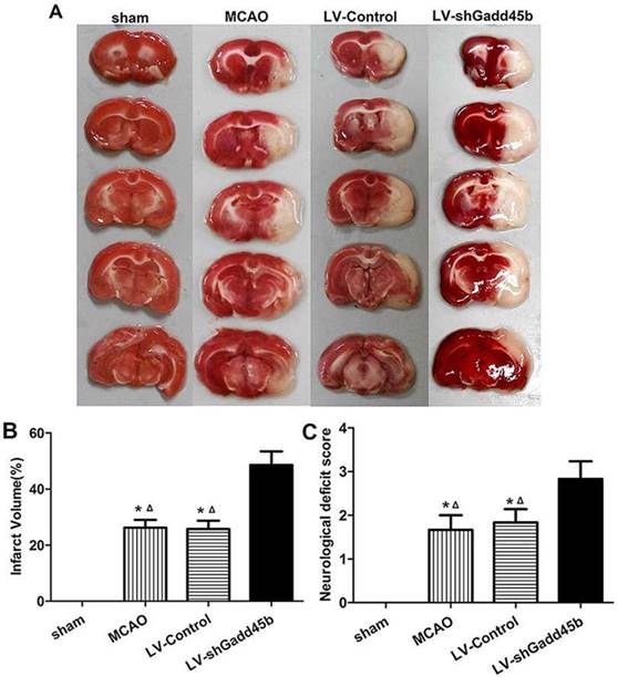 Int J Biol Sci Image