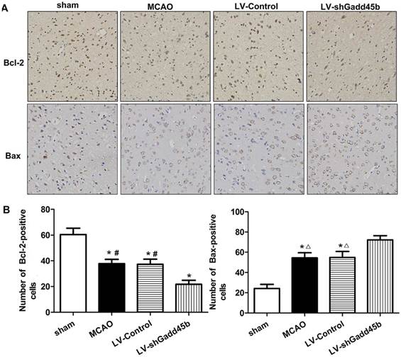 Int J Biol Sci Image