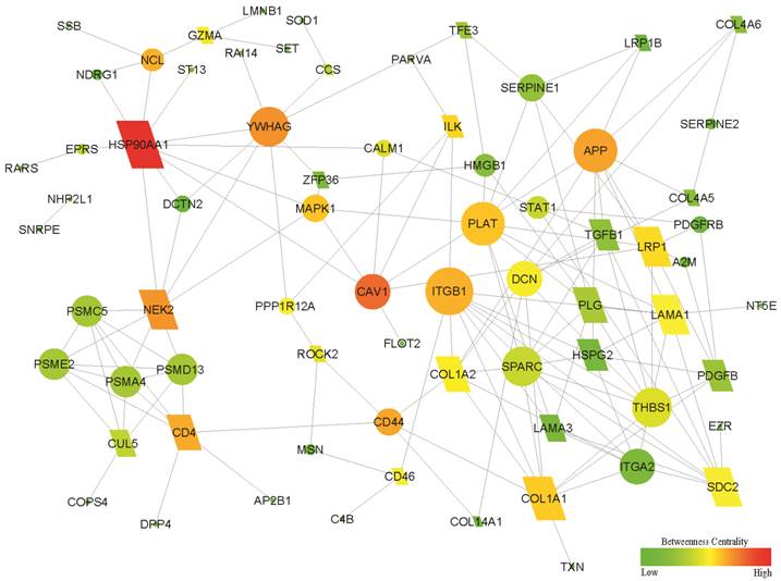 Int J Biol Sci Image