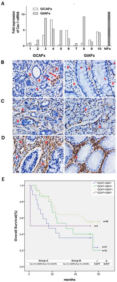 Int J Biol Sci Image