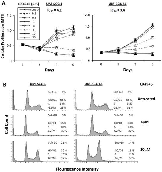 Int J Biol Sci Image