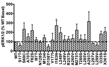 Int J Biol Sci Image