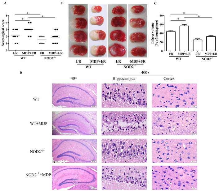 Int J Biol Sci Image