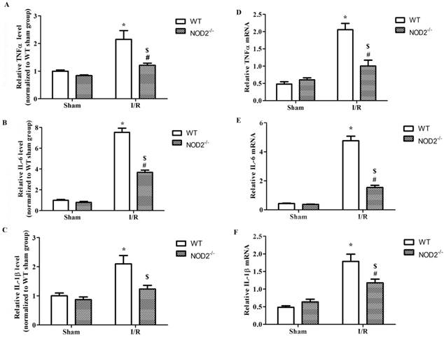 Int J Biol Sci Image