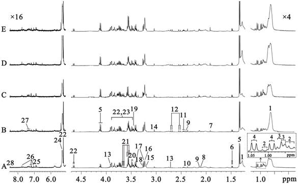 Int J Biol Sci Image