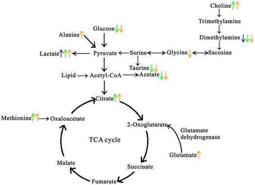 Int J Biol Sci Image