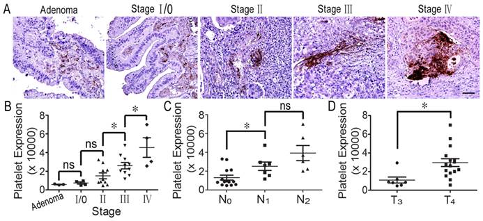 Int J Biol Sci Image