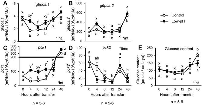 Int J Biol Sci Image